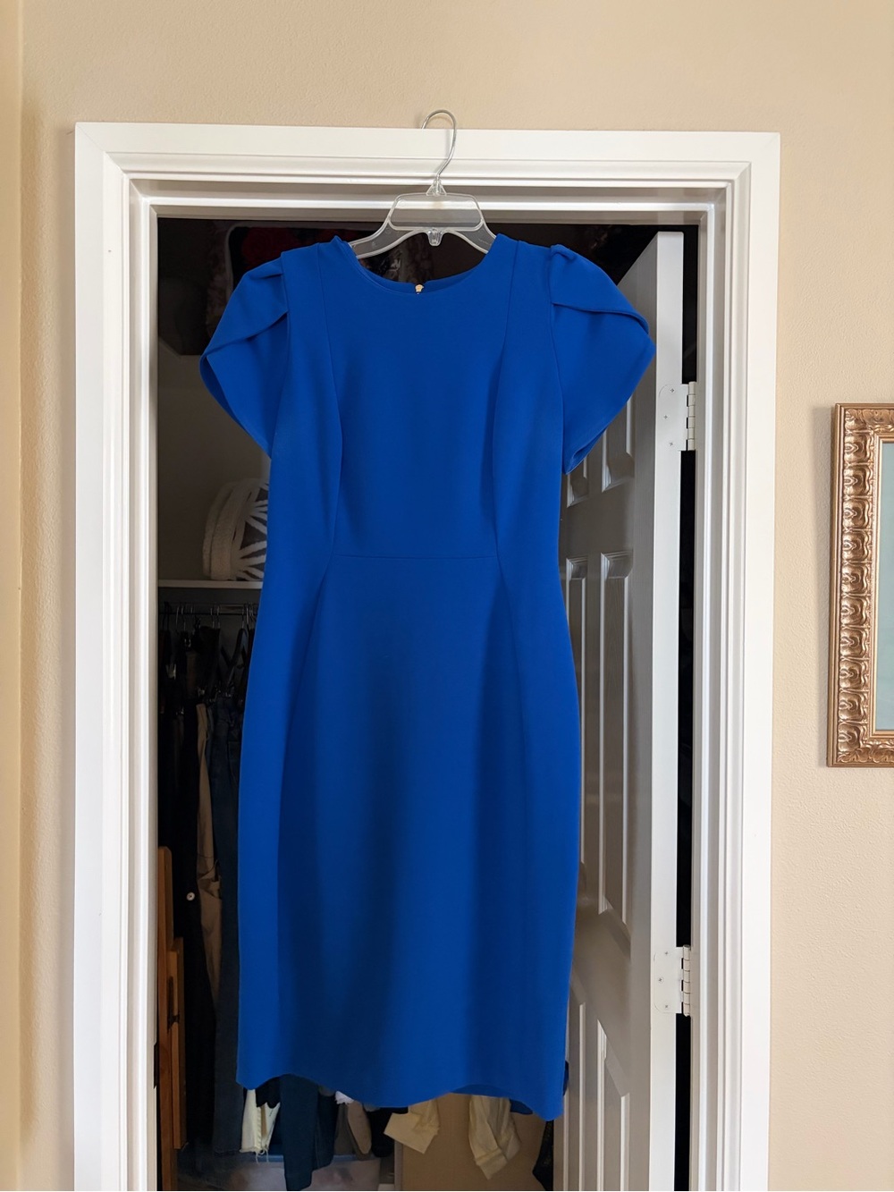 Calvin Klein Vibrant Blue Midi Dress with Structured Sleeves